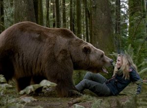 Список топ 10 лучших фильмов про медведя людоеда