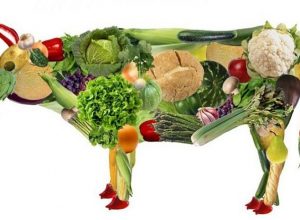 Вегетарианская диета для похудения
