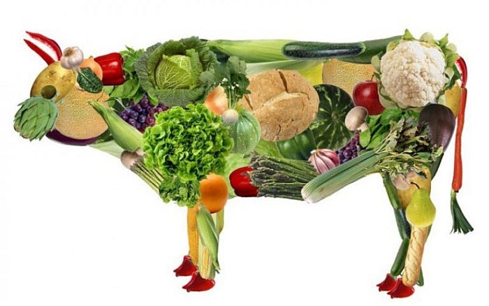 Вегетарианская диета для похудения