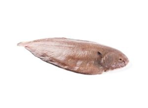Морской язык