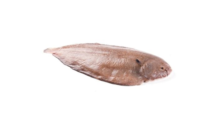 Морской язык