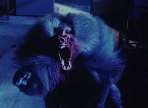 Фильмы ужасов про обезьян убийц