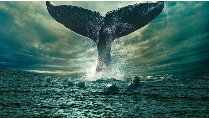 Фильмы про китов и касаток