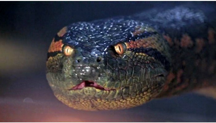 35 лучших фильмов ужасов про змей
