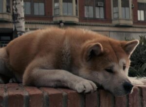 Фильмы про собаку Хатико